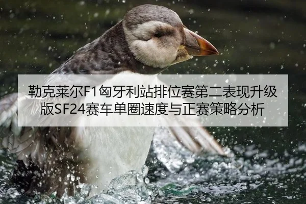 勒克莱尔F1匈牙利站排位赛第二表现升级版SF24赛车单圈速度与正赛策略分析